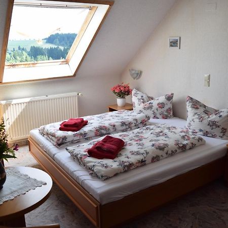 Hotel Carola Schönheide Kültér fotó