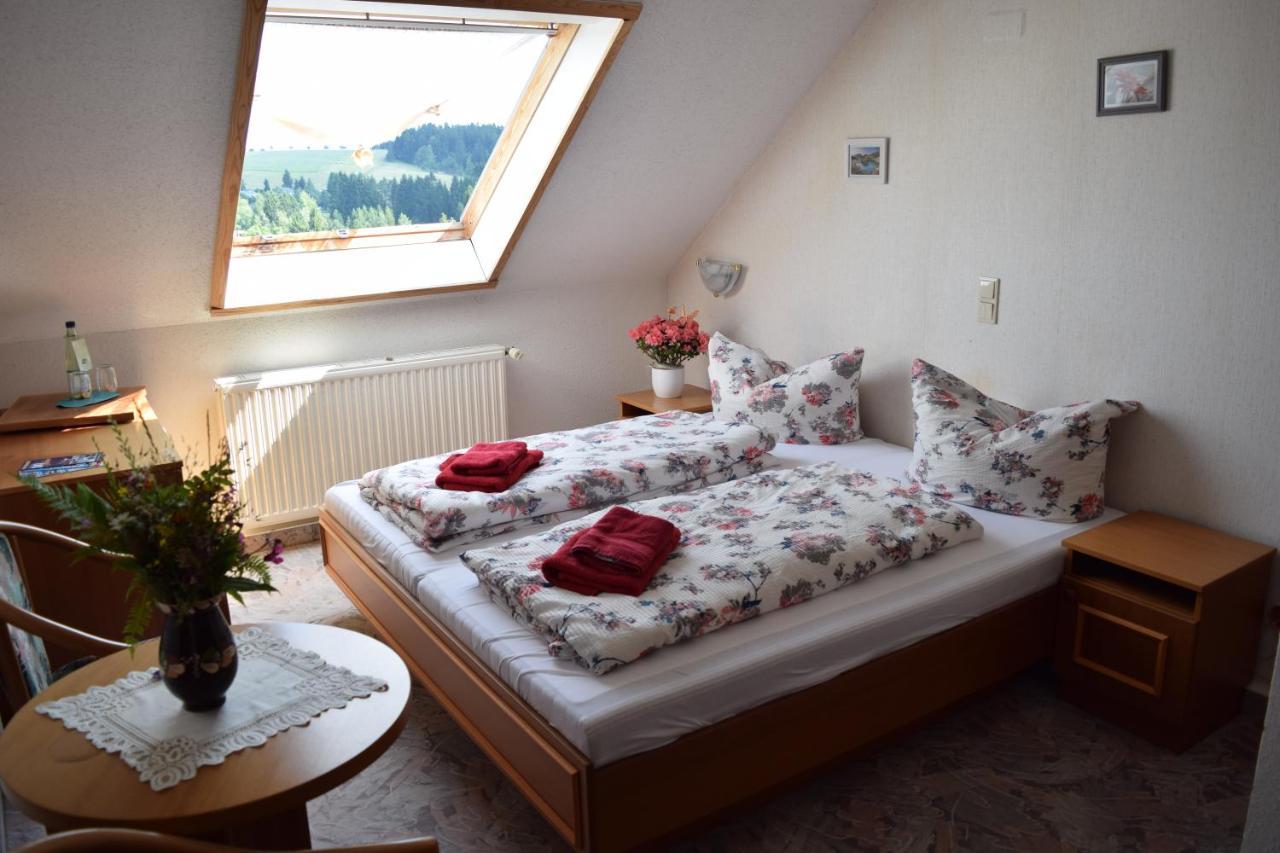 Hotel Carola Schönheide Kültér fotó